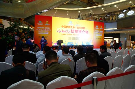 成都品牌營銷推廣大全 整合資源，引爆市場